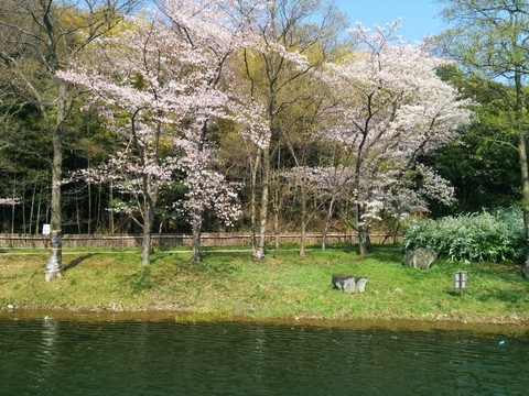 山田池